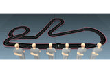 Digital King Raceway